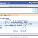 Guía Formulario Ceta AFIP: Paso 6