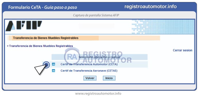 Guía Formulario Ceta AFIP: Paso 6