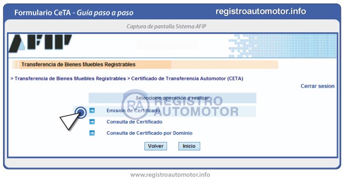 Guía Formulario Ceta AFIP: Paso 7
