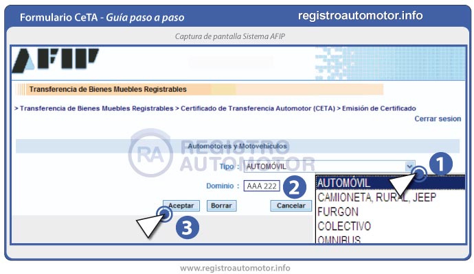 Guía Formulario Ceta AFIP: Paso 8