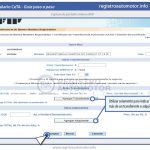 Guía Formulario Ceta AFIP: Paso 9