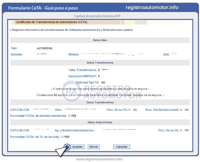 Guía Formulario Ceta AFIP: Paso 10
