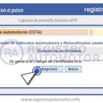 Guía Formulario Ceta AFIP: Paso 11